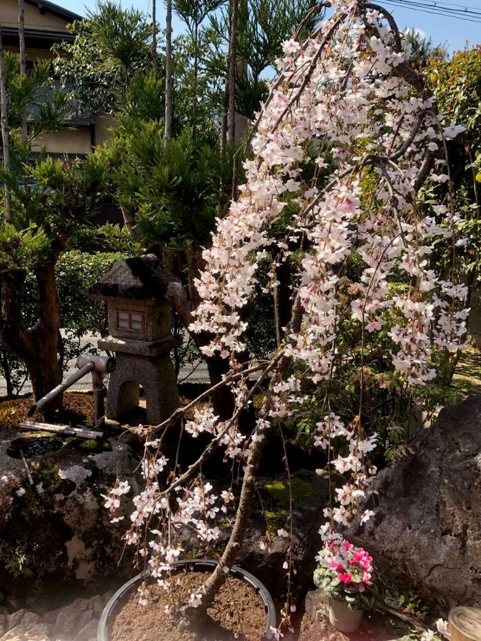 Hostel Kyoto Arashiyama Muko Екстер'єр фото