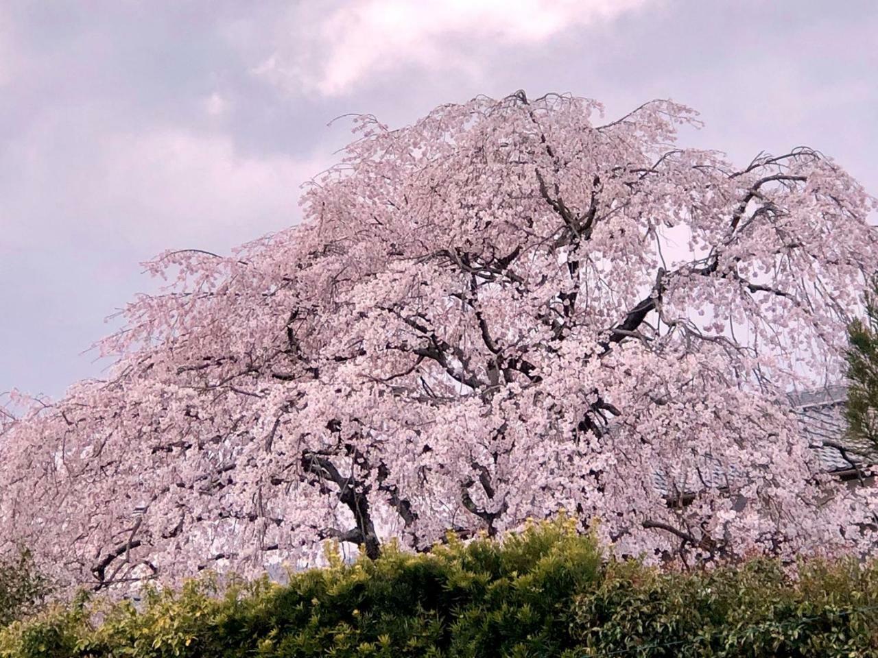 Hostel Kyoto Arashiyama Muko Екстер'єр фото